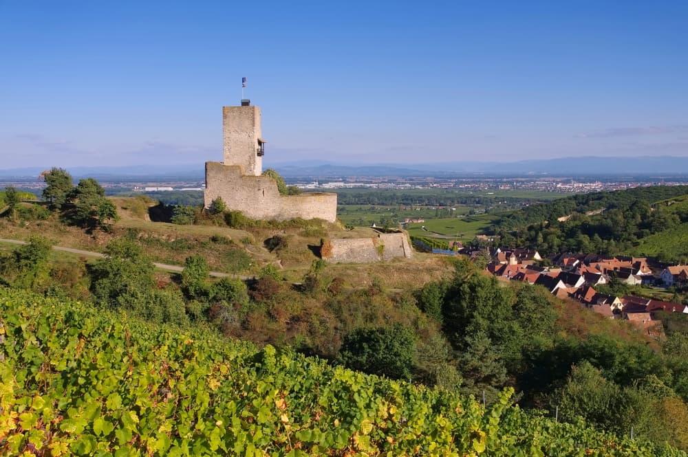 Château médiéval à visiter en alsace : château du Wineck dans le Haut-Rhin au dessus de Katzenthal